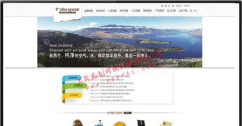 閔行企業網站建設 選擇專業設計，賦能上海企業發展